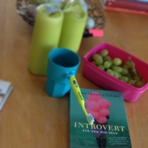 Introvert 20130326-224123.jpg