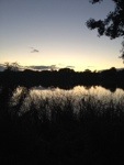 20131010-215943.jpg