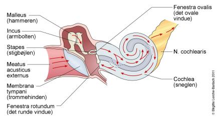 21558_10408-2-3668-indre-oere-lydledning-jpg1934x1083