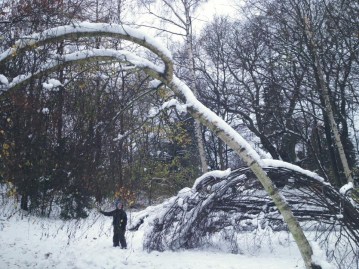 12246747_10153666933127357_7822761940239854802_n