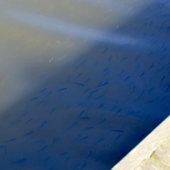 DSC_1277.jpg